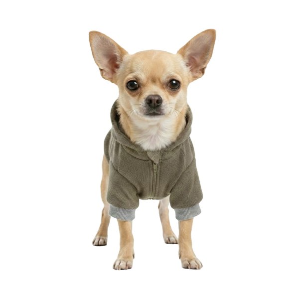 画像2: 電磁波シールド 健康ペットウェア (2)