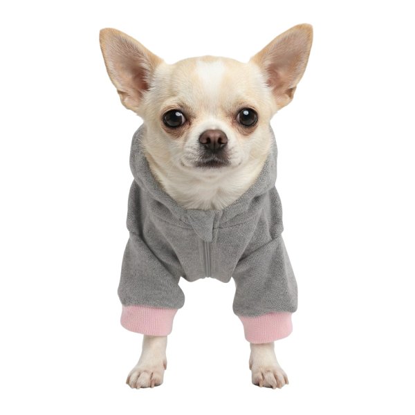 画像4: 電磁波シールド 健康ペットウェア(犬専用） (4)