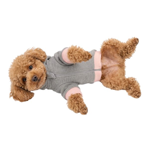 画像3: 電磁波シールド 健康ペットウェア(犬専用） (3)