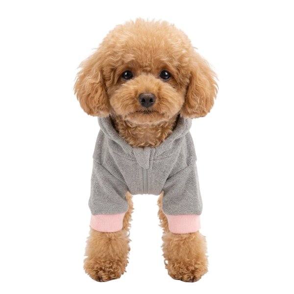 画像1: 電磁波シールド 健康ペットウェア(犬専用） (1)