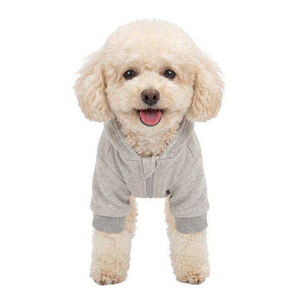 画像2: 電磁波シールド 健康ペットウェア(犬専用） (2)