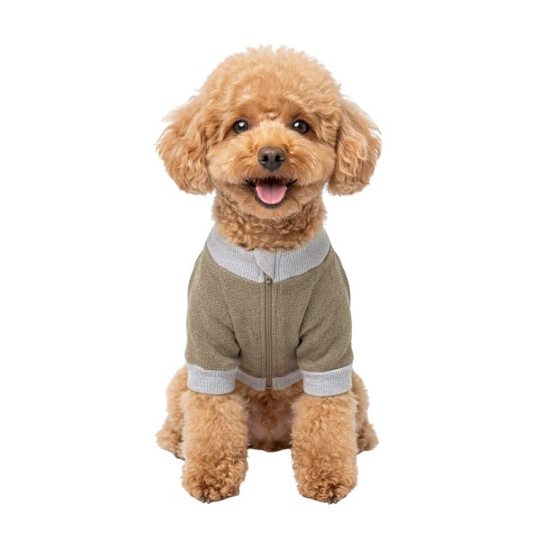 画像3: 電磁波シールド 健康ペットウェア(犬専用） (3)