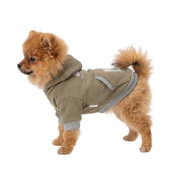 画像3: 電磁波シールド 健康ペットウェア【7サイズ】(犬専用） (3)