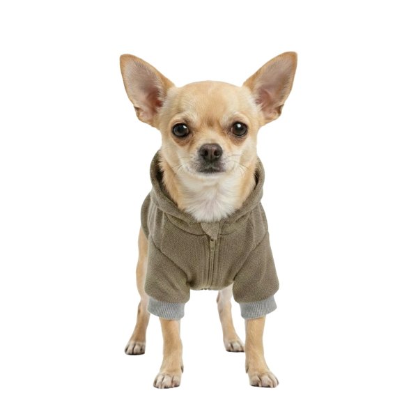 画像2: 電磁波シールド 健康ペットウェア【7サイズ】(犬専用） (2)