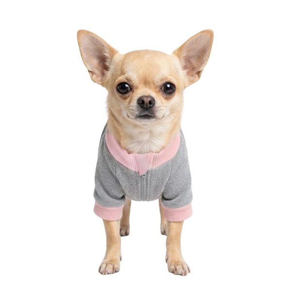 画像1: 電磁波シールド 健康ペットウェア【5サイズ】(犬専用） (1)