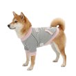画像5: 電磁波シールド 健康ペットウェア【5サイズ】(犬専用） (5)