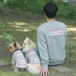 画像8: 電磁波シールド 健康ペットウェア【5サイズ】(犬専用） (8)