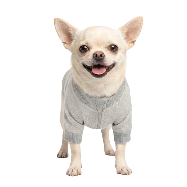 画像2: 電磁波シールド 健康ペットウェア【5サイズ】(犬専用） (2)