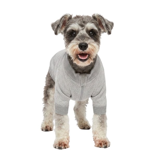 画像5: 電磁波シールド 健康ペットウェア【5サイズ】(犬専用） (5)