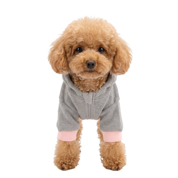 画像1: 電磁波シールド 健康ペットウェア【7サイズ】(犬専用） (1)