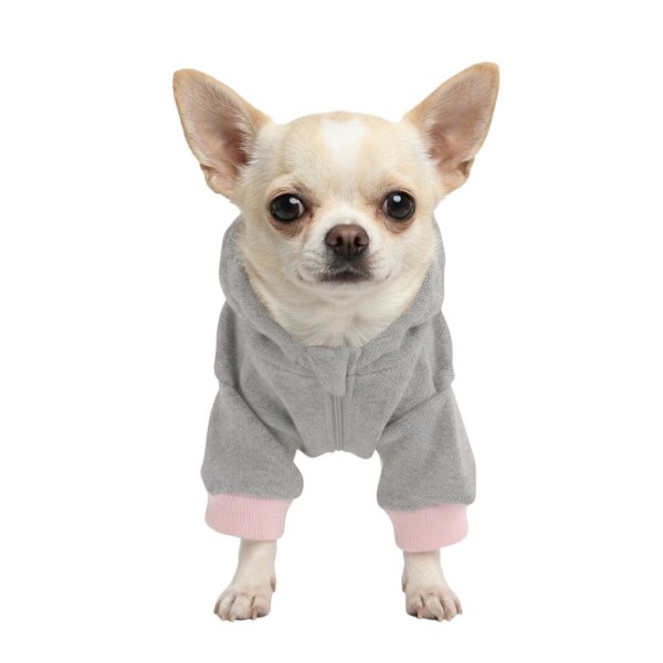 画像3: 電磁波シールド 健康ペットウェア【7サイズ】(犬専用） (3)