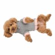 画像2: 電磁波シールド 健康ペットウェア【7サイズ】(犬専用） (2)