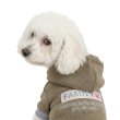 画像6: 電磁波シールド 健康ペットウェア【7サイズ】(犬専用） (6)